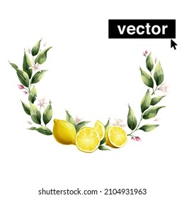 Vector lemon wreath watercolor style illustration. Set of green leaves, flowers, buds, and branches. Citrus fruit slices and splashing juice arrangements.