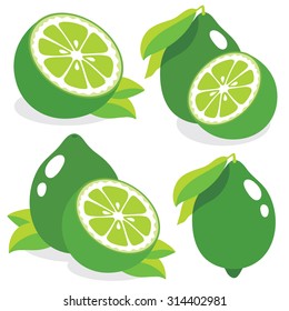 Vector lemons. Collection of lime fruits isolated on white background vector illustrations