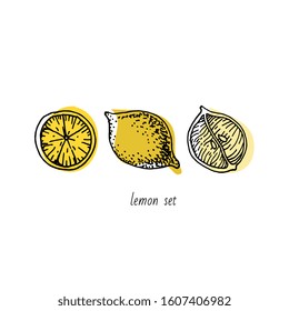 Vector lemons for graphic design. Use for logo. Freehand drawing. Isolated over white background-02