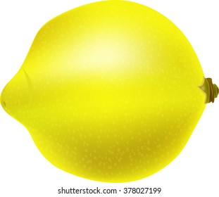 vector - Lemons , lime  . Fresh, natural lemons , lime . Graphic illustrations isolated on white background. Includes gradient mesh. Icon Vector .