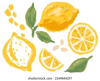 Limones vectores. Conjunto de imágenes prediseñadas dibujadas a mano con textura estilizada