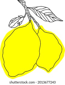 vector  lemons whole fruits isolated