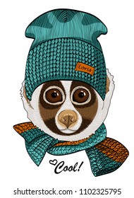 Vector lemur with green knitted hat and  knitted scarf. Hand drawn illustration of dressed loris.