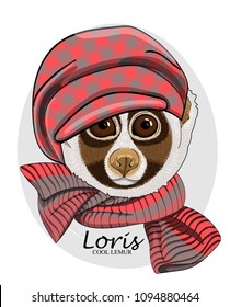 Vector lemur with hat and knitted scarf. Hand drawn illustration of dressed loris.