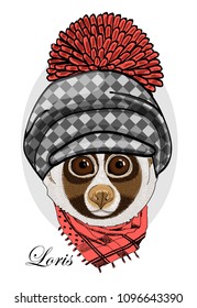 Vector lemur with hat and scarf. Hand drawn illustration of dressed loris.