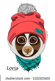 Vector lemur with red knitted hat and green scarf. Hand drawn illustration of dressed loris.