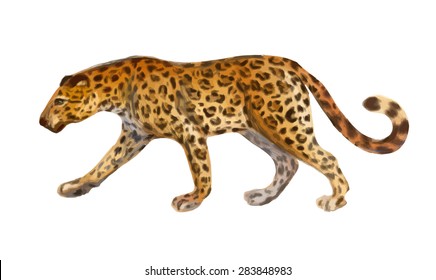 624,311 Zoo white background Images, Stock Photos & Vectors | Shutterstock