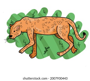 Vector leopard colored illustration character