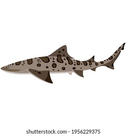 Vector Leopard Shark Illustration Isolated On Stock Vector (Royalty ...