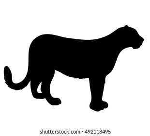 Vector Leopard Silhouette