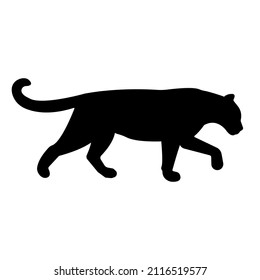 Vector leopard silhouette isolated on white background
