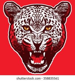 Vector leopard  - sticker