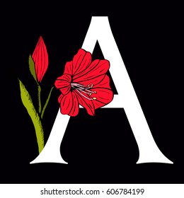 Vector letter A with amaryllis flower
