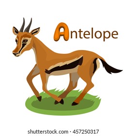 Vector letter A antelope children alphabet illustration