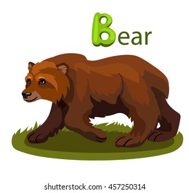 Vector letter B bear children alphabet illustration