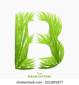 Vector letter B of juicy grass alphabet. Green B symbol consisting of growing grass. Realistic alphabet of organic plants. Spring and ecology typeset illustration