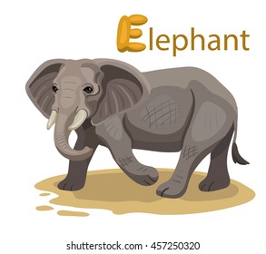 Vector letter E Elephant children alphabet illustration