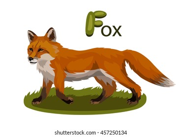 Vector letter F red fox children alphabet illustration