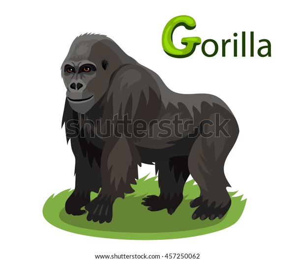 Vector Letter G Gorilla Children Alphabet Stokovye Izobrazheniya V Hd I Milliony Drugih Stokovyh Fotografij Illyustracij I Vektornyh Izobrazhenij Bez Licenzionnyh Platezhej V Kollekcii Shutterstock Ezhednevno Dobavlyayutsya Tysyachi