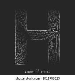 Vector letter H of branch or cracked alphabet. H symbol consisting of growing white lines. Fractured letters. Lighting silhouette of capital letters. Abstract font