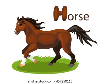 Vector letter H brown run horse children alphabet illustration