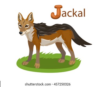 934 Jackal cartoon Images, Stock Photos & Vectors | Shutterstock
