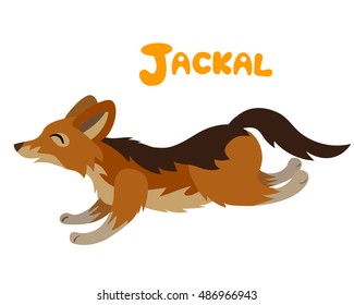 Vector letter J jackal cute children alphabet illustration