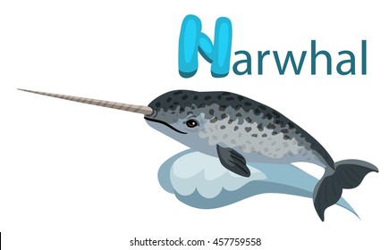 Vector letter N narwhal children alphabet illustration