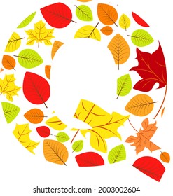 Vector letter Q from autumn leaves. Illustration on the subject of the alphabet.