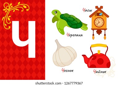 Vector letter of russian alphabet. Set of cute cartoon illustrations - turtle, clock, garlic, kettle.

