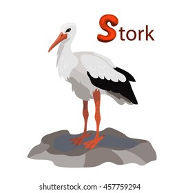 Vector letter S stork children alphabet illustration