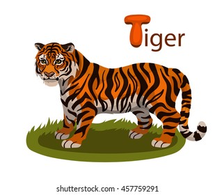 Vector letter T tiger children alphabet illustration