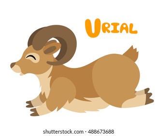 Vector letter U urial sheep  forc hildren alphabet cute animal illustration