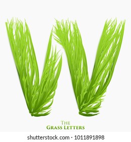 Vector letter W of juicy grass alphabet. Green W symbol consisting of growing grass. Realistic alphabet of organic plants. Spring and ecology typeset illustration