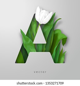 Vector letter A of white tulip flower