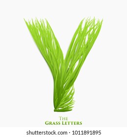 Vector letter Y of juicy grass alphabet. Green Y symbol consisting of growing grass. Realistic alphabet of organic plants. Spring and ecology typeset illustration