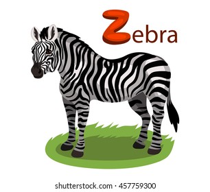 Vector letter Z zebra children alphabet illustration
