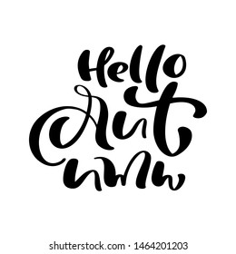 Vector lettering calligraphy Hello Autumn text. Hand drawn illustration for greeting card isolated on white background. Perfect for seasonal holidays, Thanksgiving Day