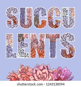 Vector lettering decorated with plants. The word "succulents". Floral botanical illustration.