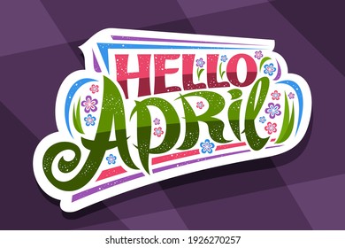 Vector lettering Hello April, white badge with curly calligraphic font, decorative art stripes and illustration of colorful flowers, concept with swirly hand written lettering hello april on purple.