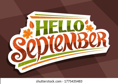 Vector lettering Hello September, white logo with curly calligraphic font, decorative autumn leaves and confetti, greeting card with swirly unique lettering hello september on brown background.