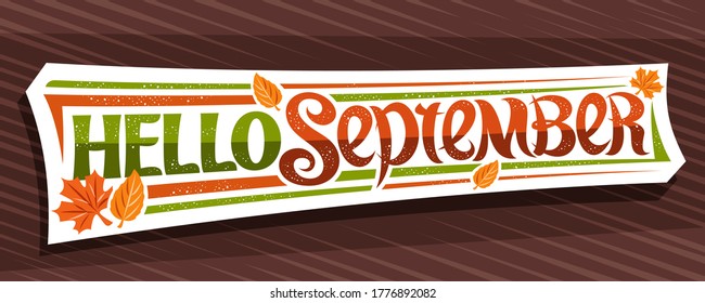 Vector lettering Hello September, white label with curly calligraphic font, decorative autumn leaves and confetti, greeting card with swirly unique lettering hello september on brown background.