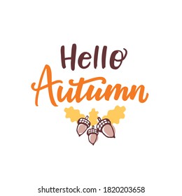 Vector lettering illustration of Hello Autumn and a acorn. Lettering and calligraphy for poster, background, postcard, banner.