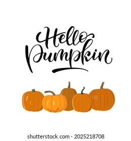 Vektorgrafik von Hallo Kürbis auf weißem Hintergrund. Kürbis-Illustration. Kalligrafie für Poster, Hintergrund, Postkarte, Banner.