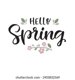 Vector lettering illustration of "Hello spring" for Happy holidays greeting card. Lettering celebration logo. Typography for spring holidays. Calligraphic poster on white background. Postcard motive.