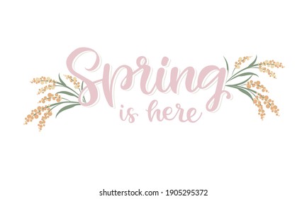 Vector lettering illustration of "Spring is here" for Happy holidays greeting card. Lettering celebration logo. Typography for spring holidays. Calligraphic poster on white background. Postcard.