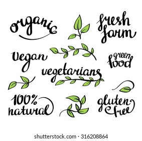 Vector lettering -  organic natural food, vegan and vegetarians menu