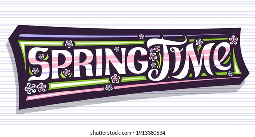 Vector lettering Spring Time, greeting card with curly calligraphic font and decorative colorful stripes, unique brush hand written lettering spring time and illustration of spring flowers on grey.