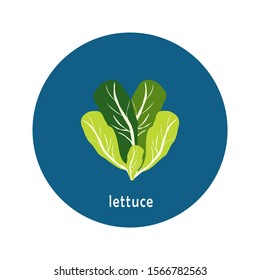 Vector lettuce icon isolated on white background.  Flat blue circle icon with vegetable. Healthy food. 