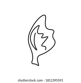 Vector lettuce leaf with a black line.Simple food and cooking illustration in doodle style on a white isolated background hand drawn.Design for social networks,web,advertising,banners,menus,recipes.